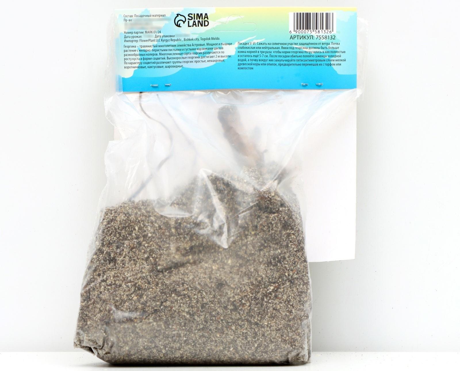 Георгина кактусовая 