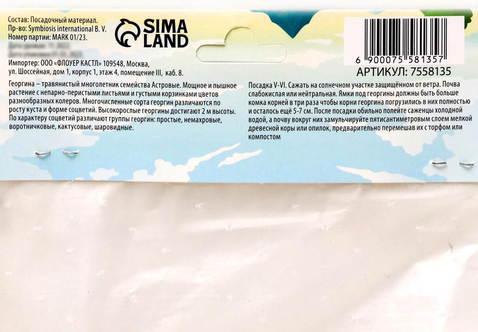 Георгина декоративная 