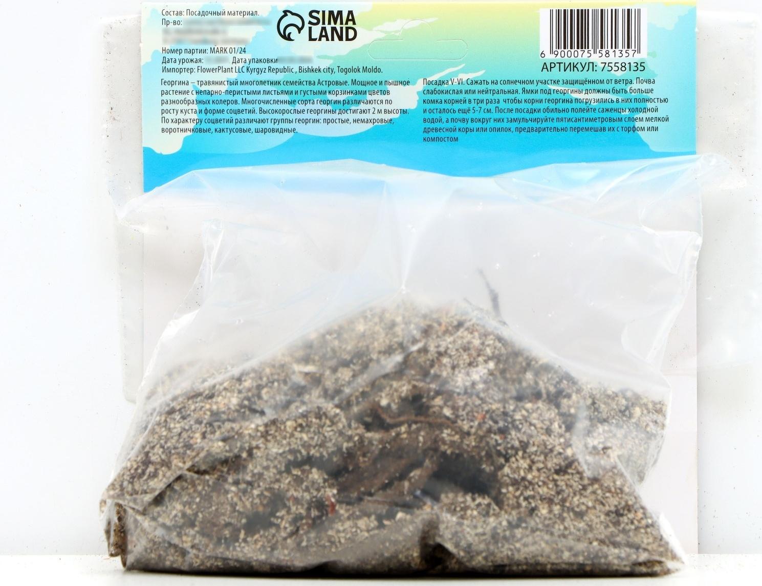 Георгина декоративная 