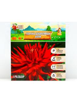 Георгина декоративная 