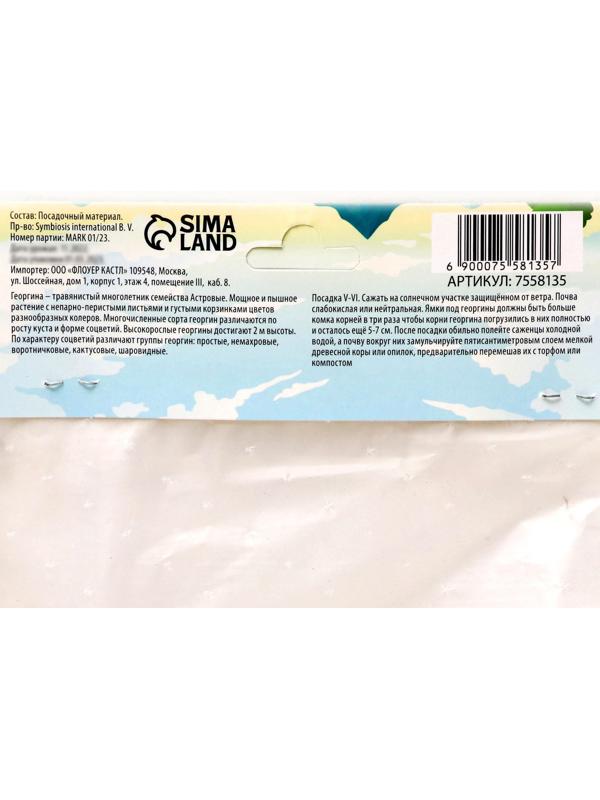 Георгина декоративная 