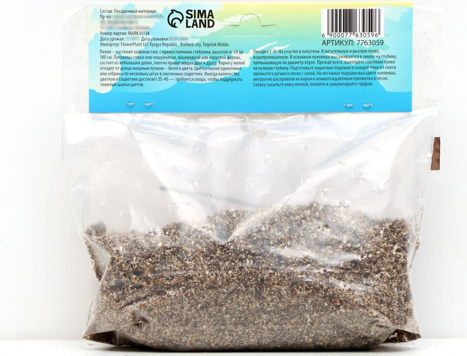 Лилия гибридная 