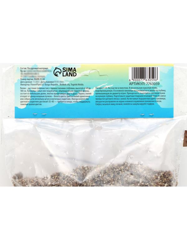 Лилия гибридная 