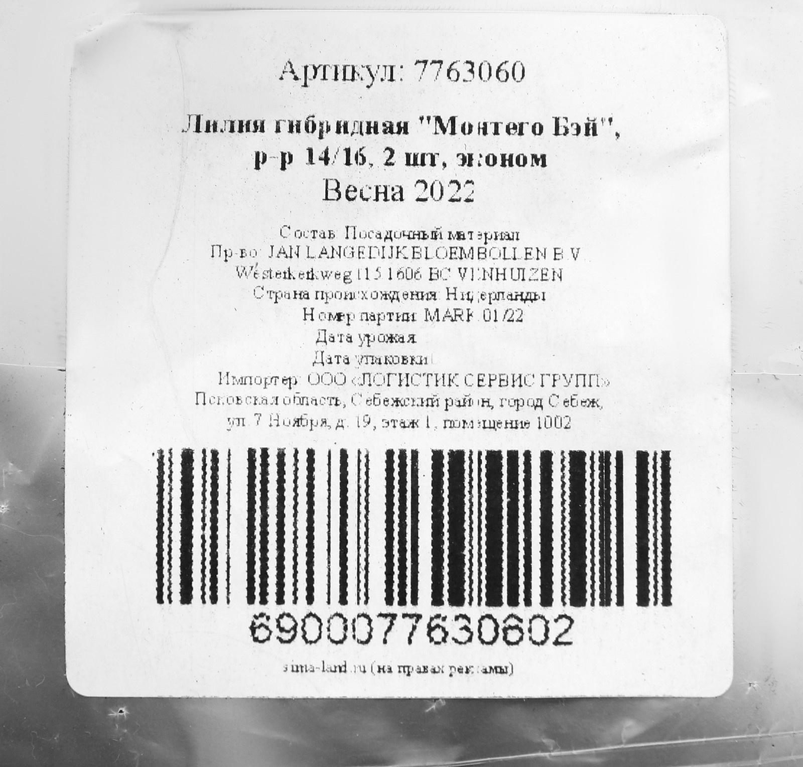 Лилия гибридная 