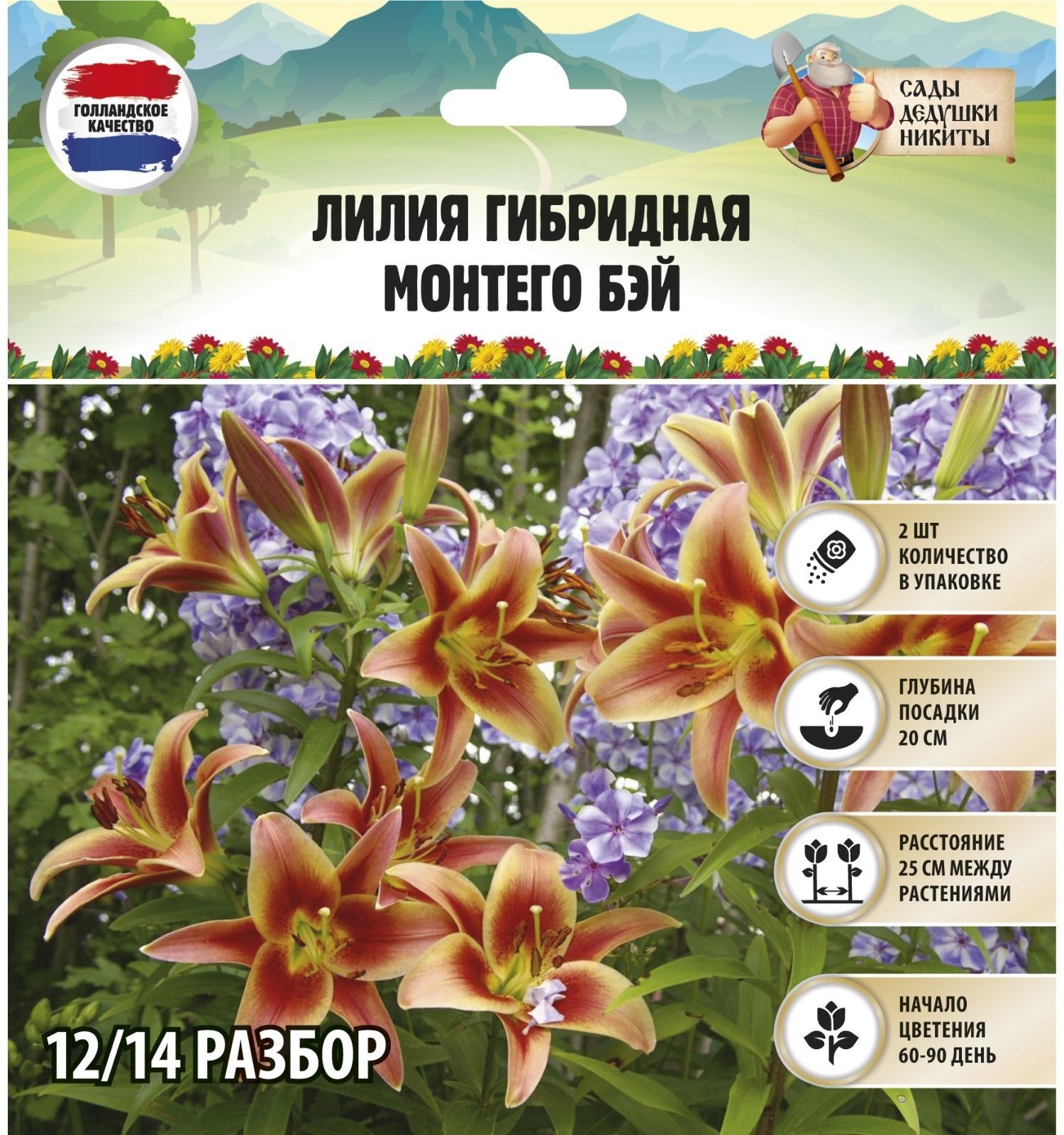 Лилия гибридная 