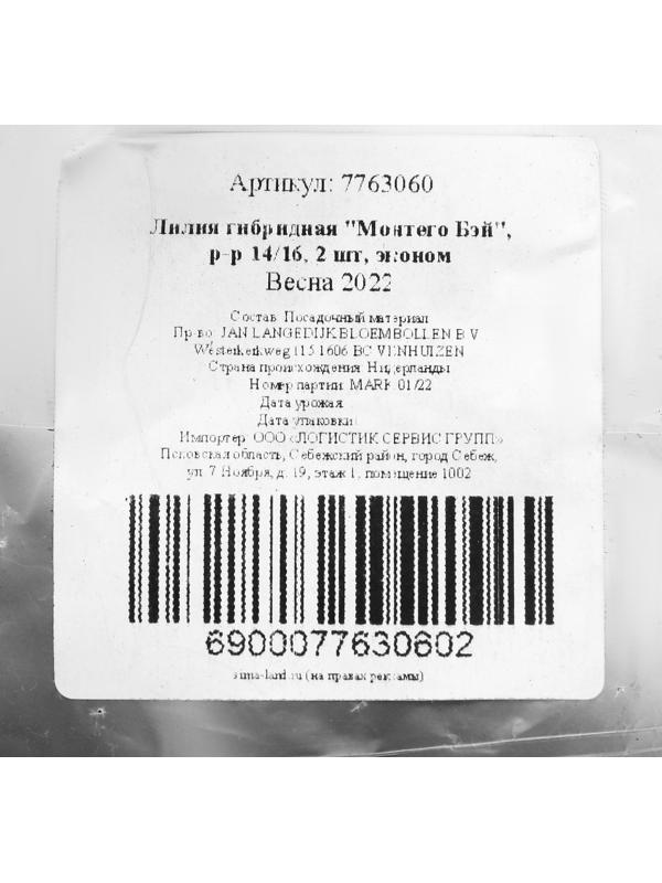 Лилия гибридная 