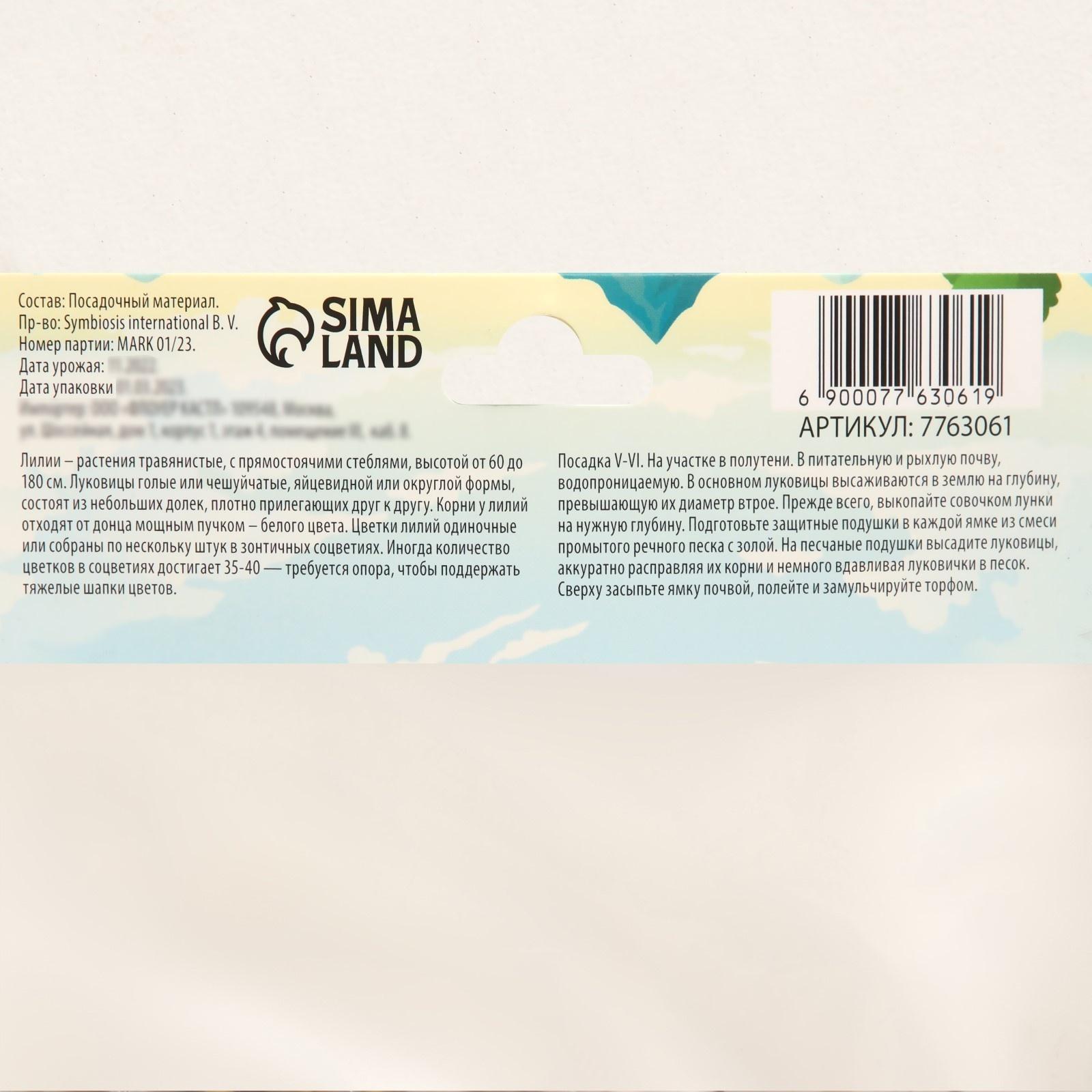 Лилия гибридная 