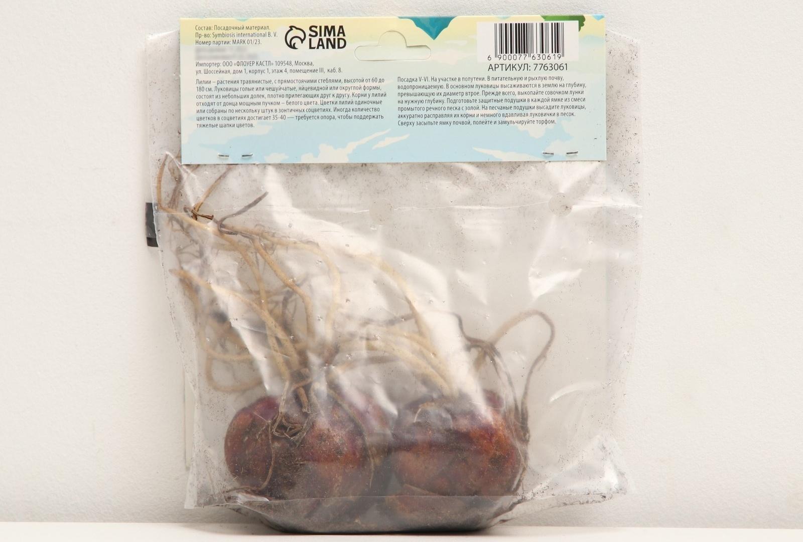 Лилия гибридная 