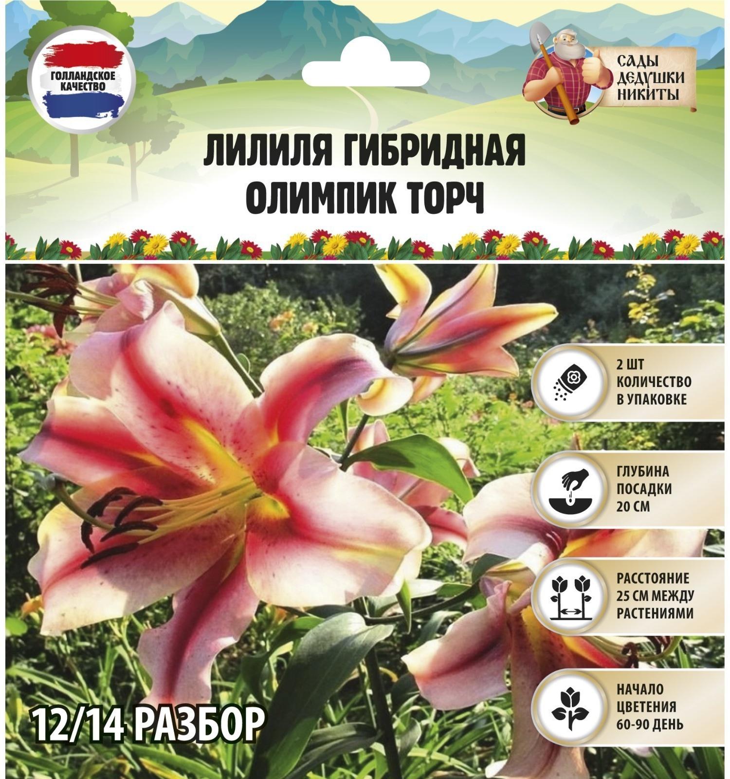 Лилия гибридная 