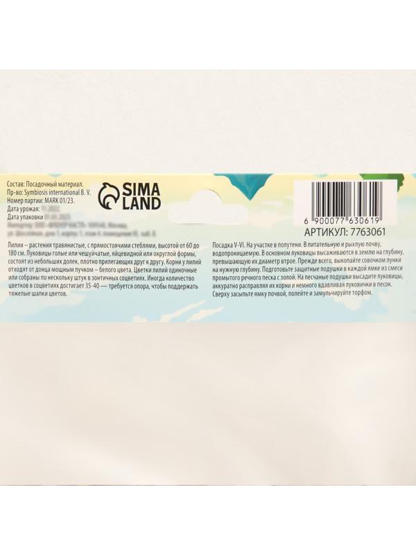 Лилия гибридная 