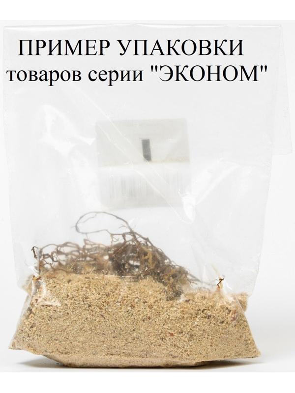 Лилия гибридная 