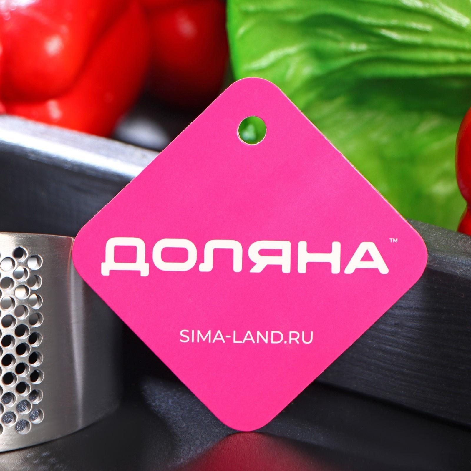 Пресс для чеснока Доляна Steel, 10×5 см, нержавеющая сталь, цвет серебряный