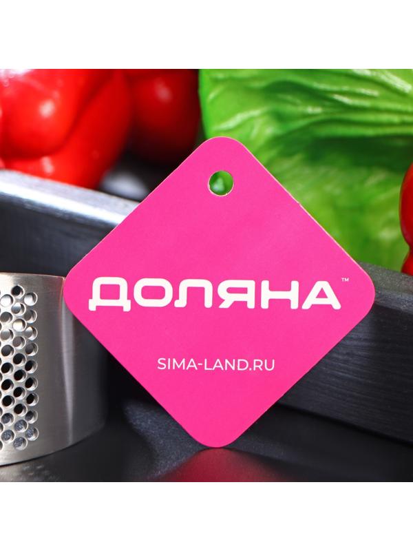 Пресс для чеснока Доляна Steel, 10×5 см, нержавеющая сталь, цвет серебряный