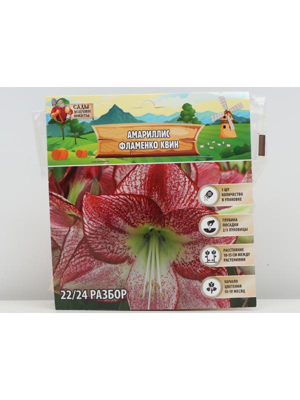 Амариллис 