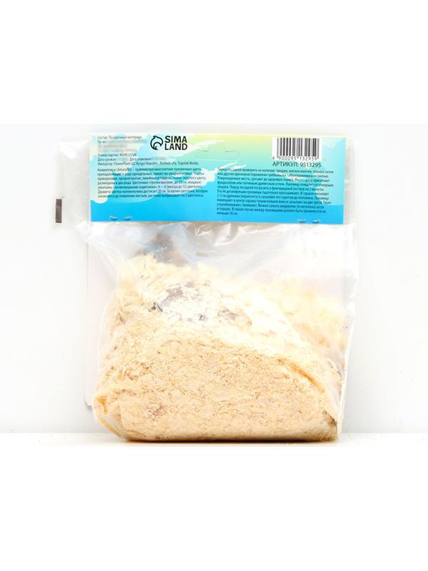 Амариллис Махровый 