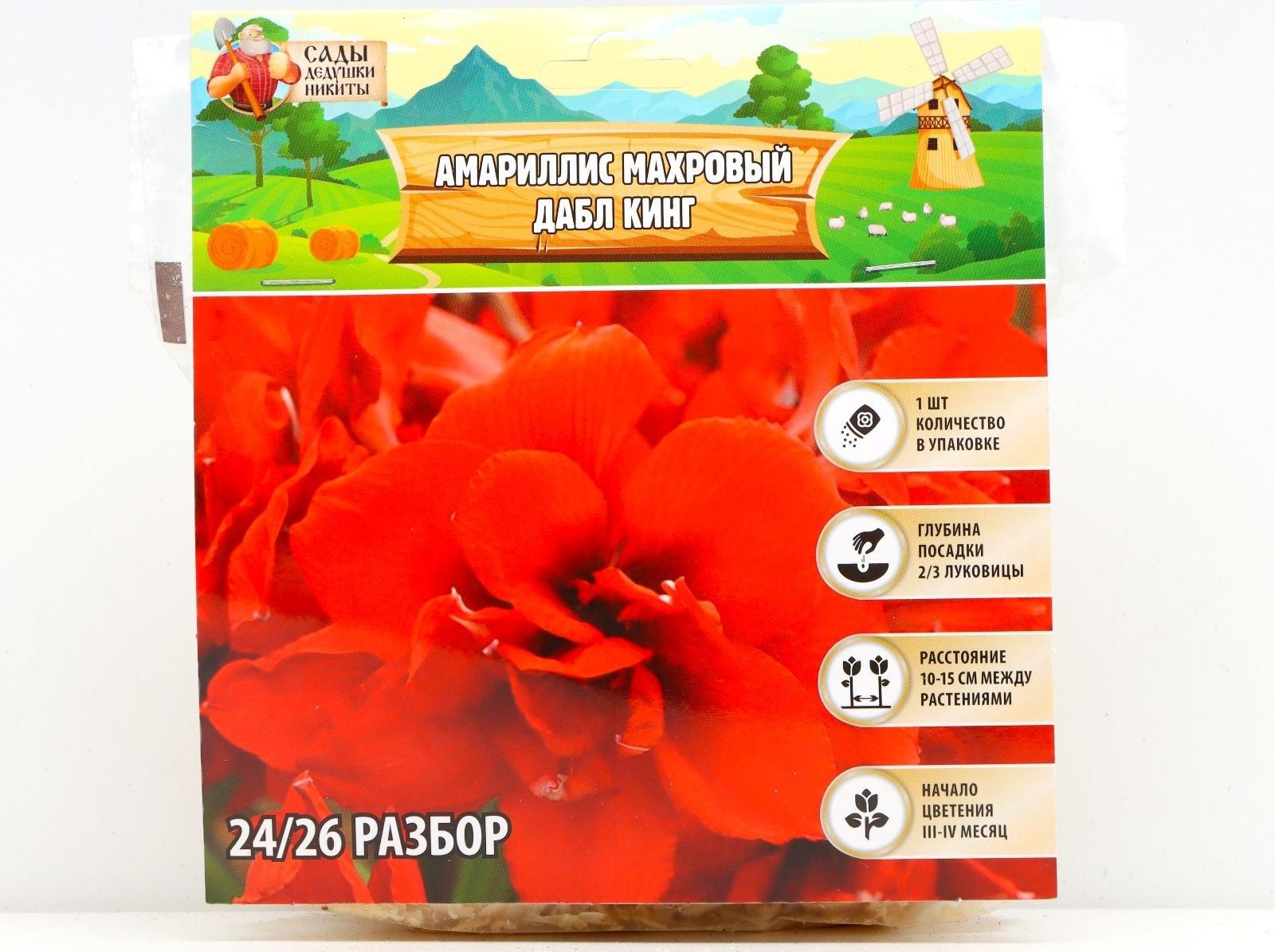 Амариллис Махровый 