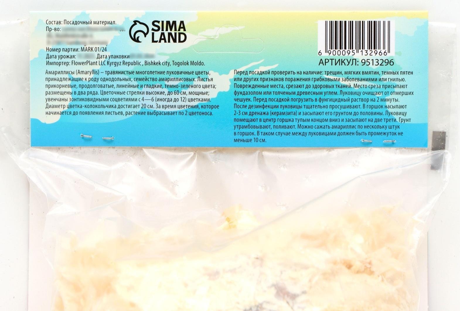 Амариллис Махровый 