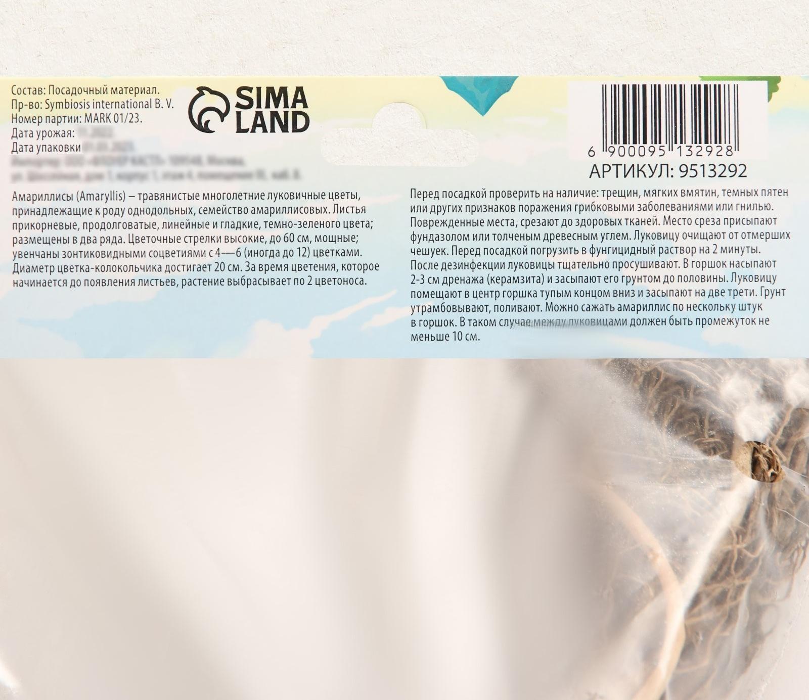 Амариллис Махровый 