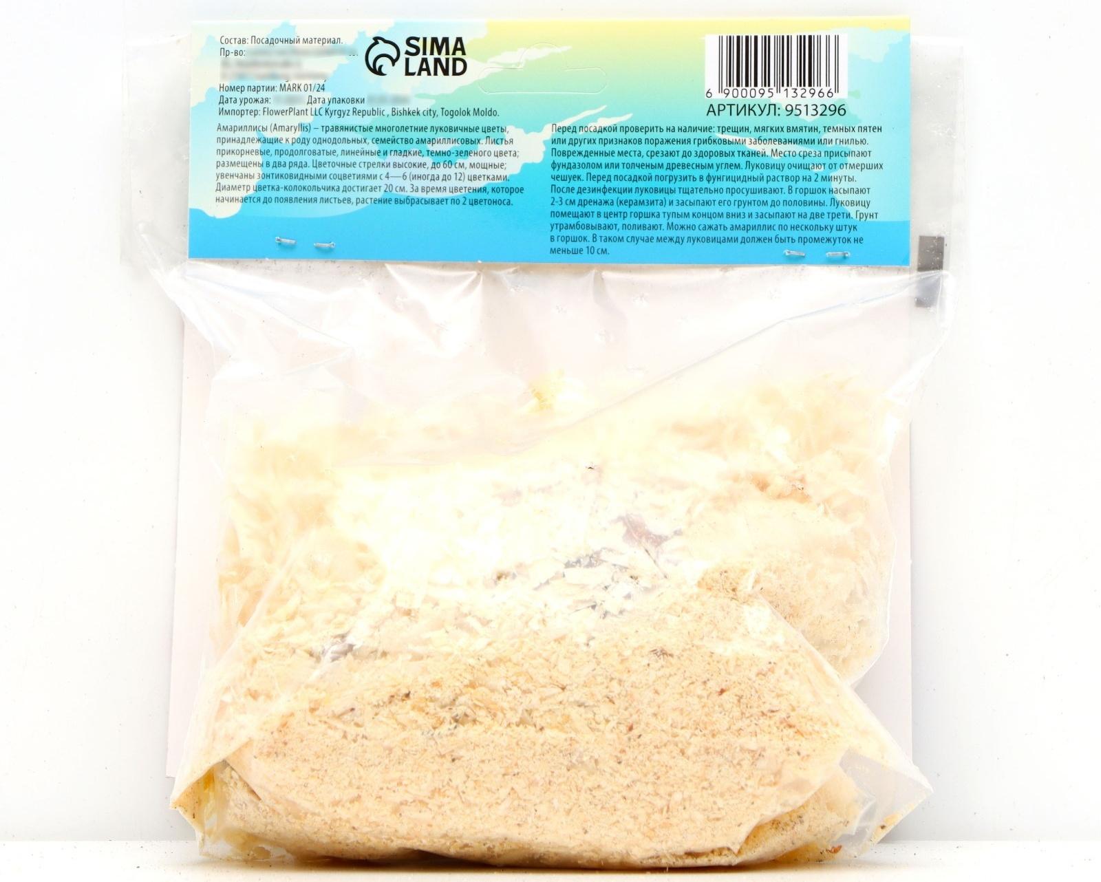 Амариллис Махровый 