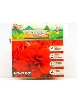 Амариллис Махровый 