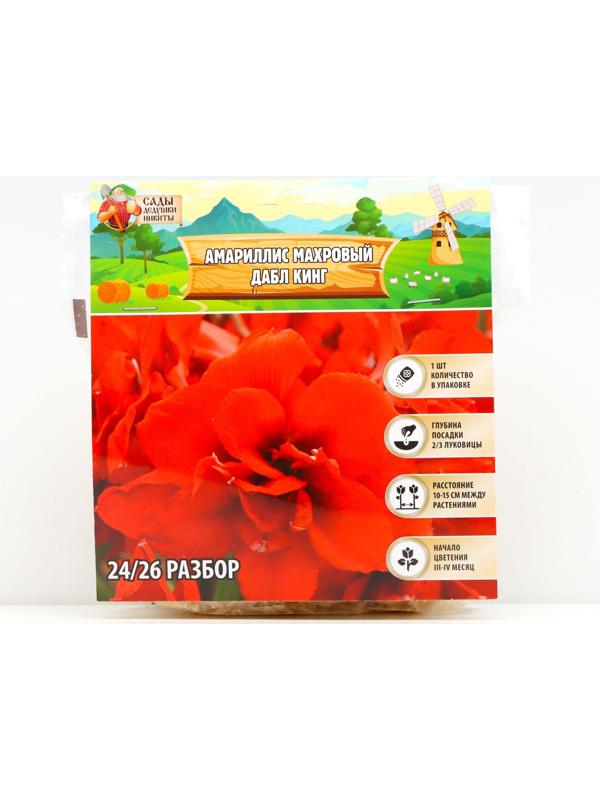 Амариллис Махровый 