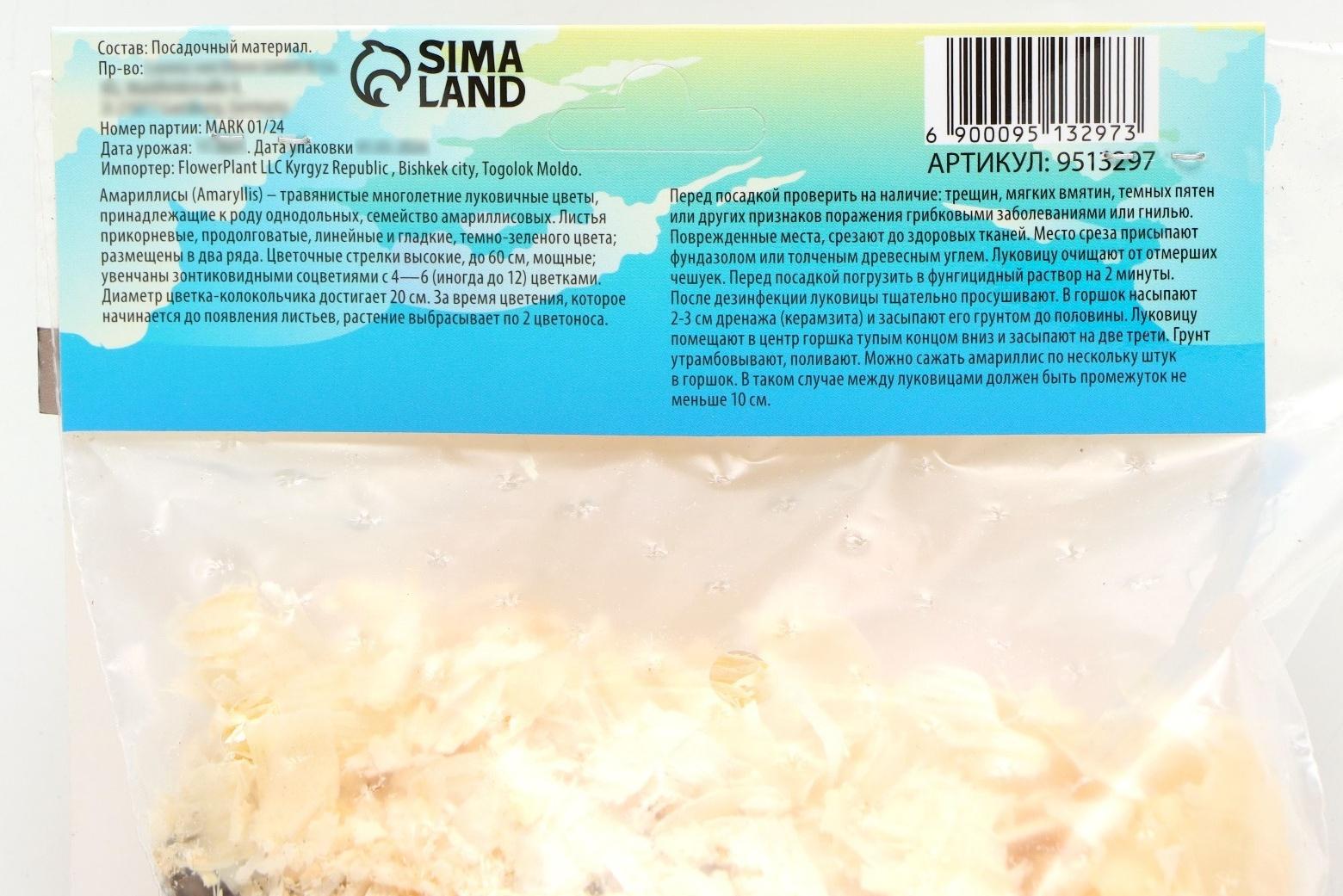 Амариллис Махровый 