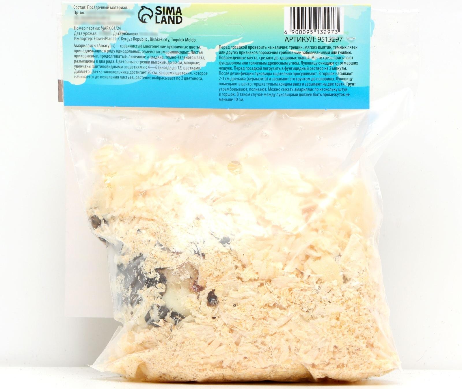 Амариллис Махровый 