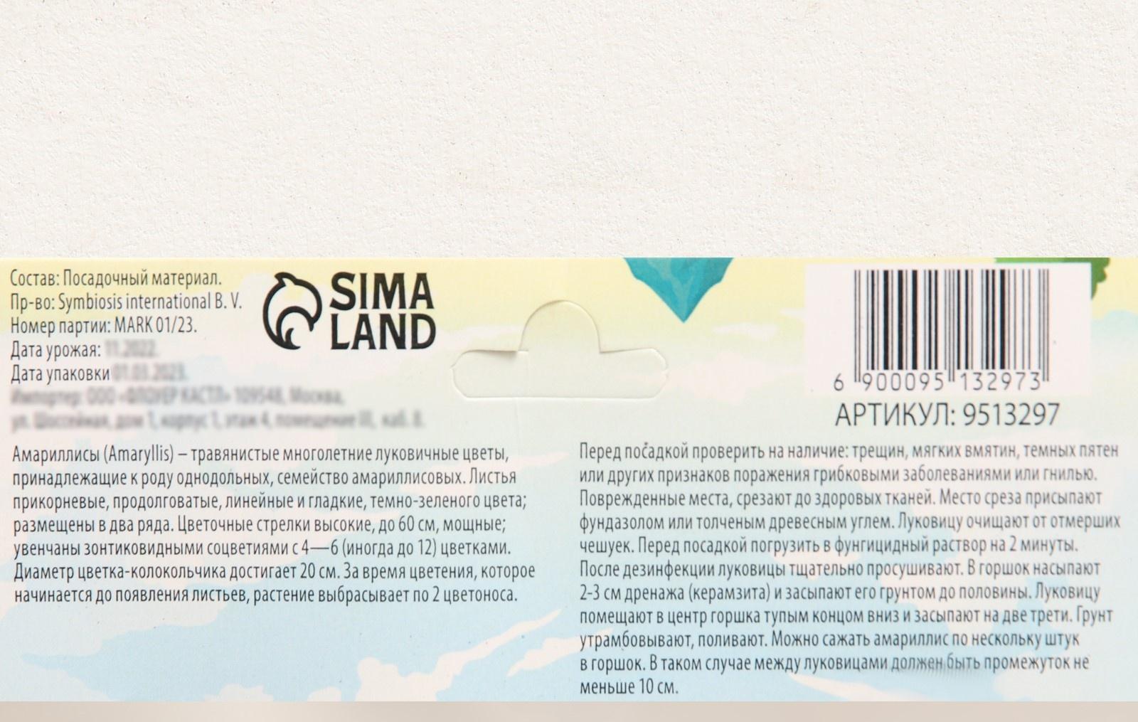 Амариллис Махровый 