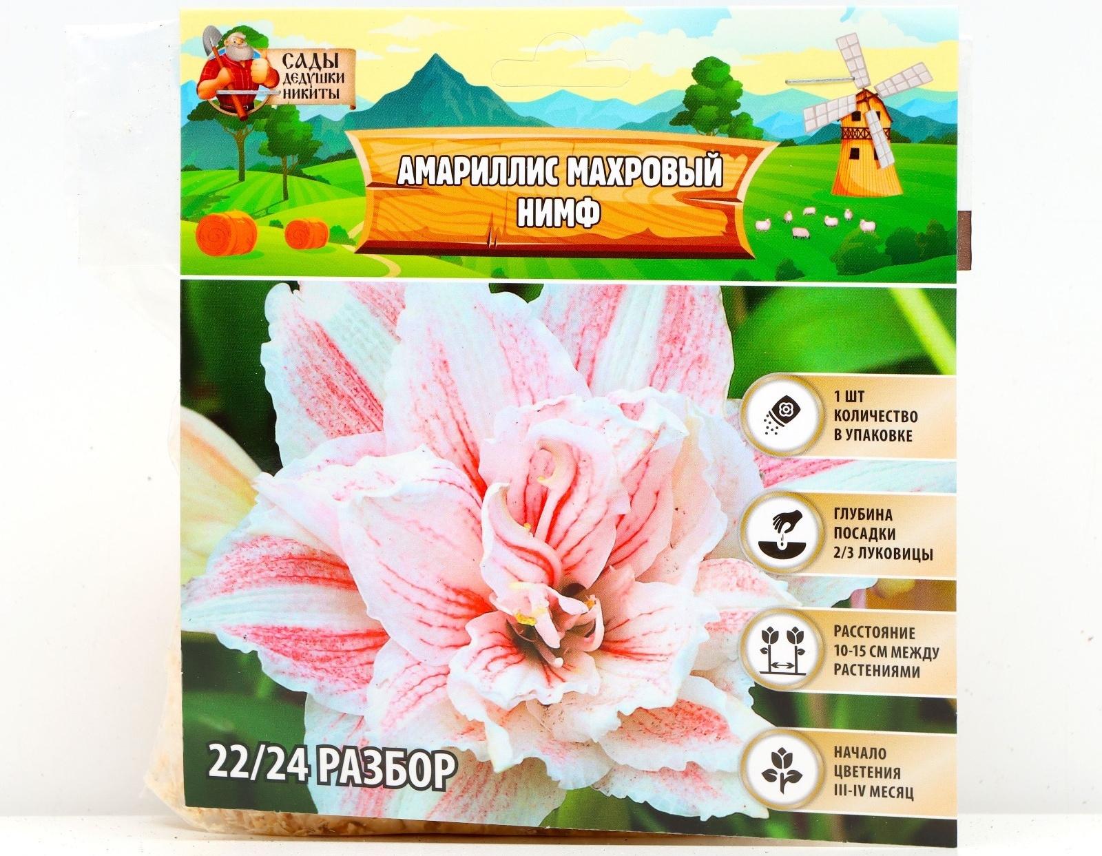 Амариллис Махровый 