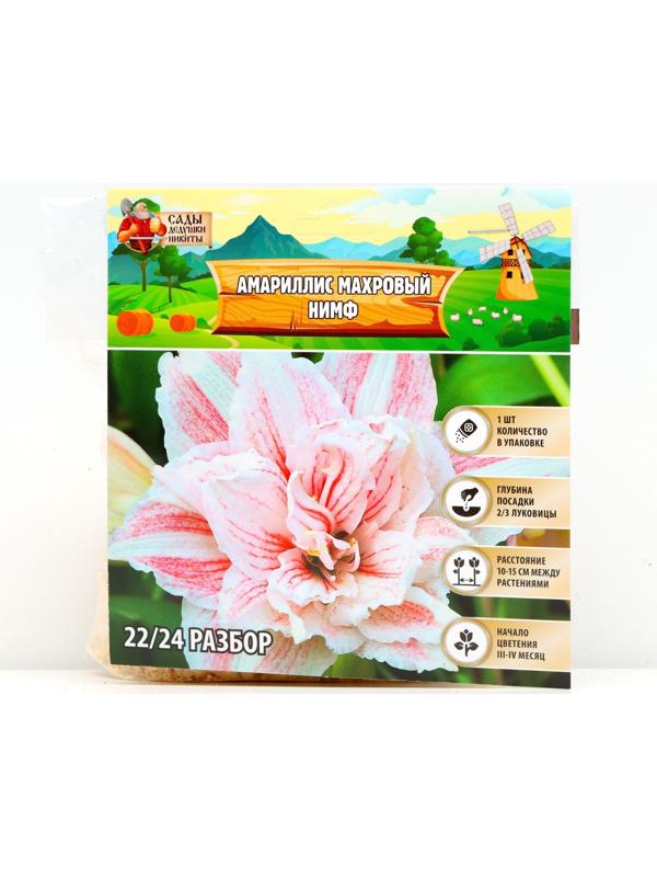 Амариллис Махровый 