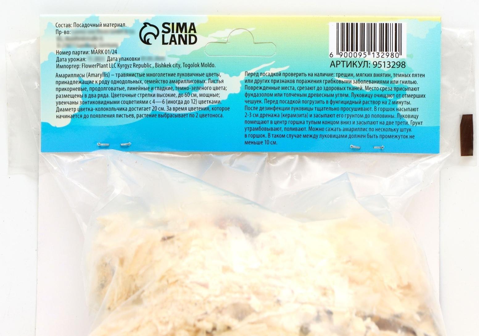 Амариллис Мелкоцветущий 