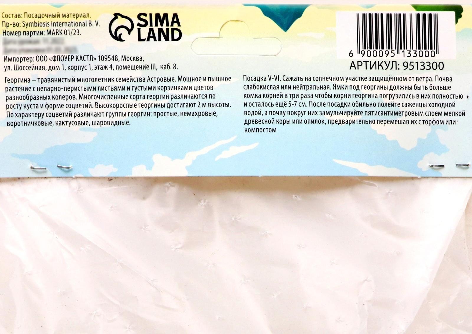 Георгина Кактусовидная 