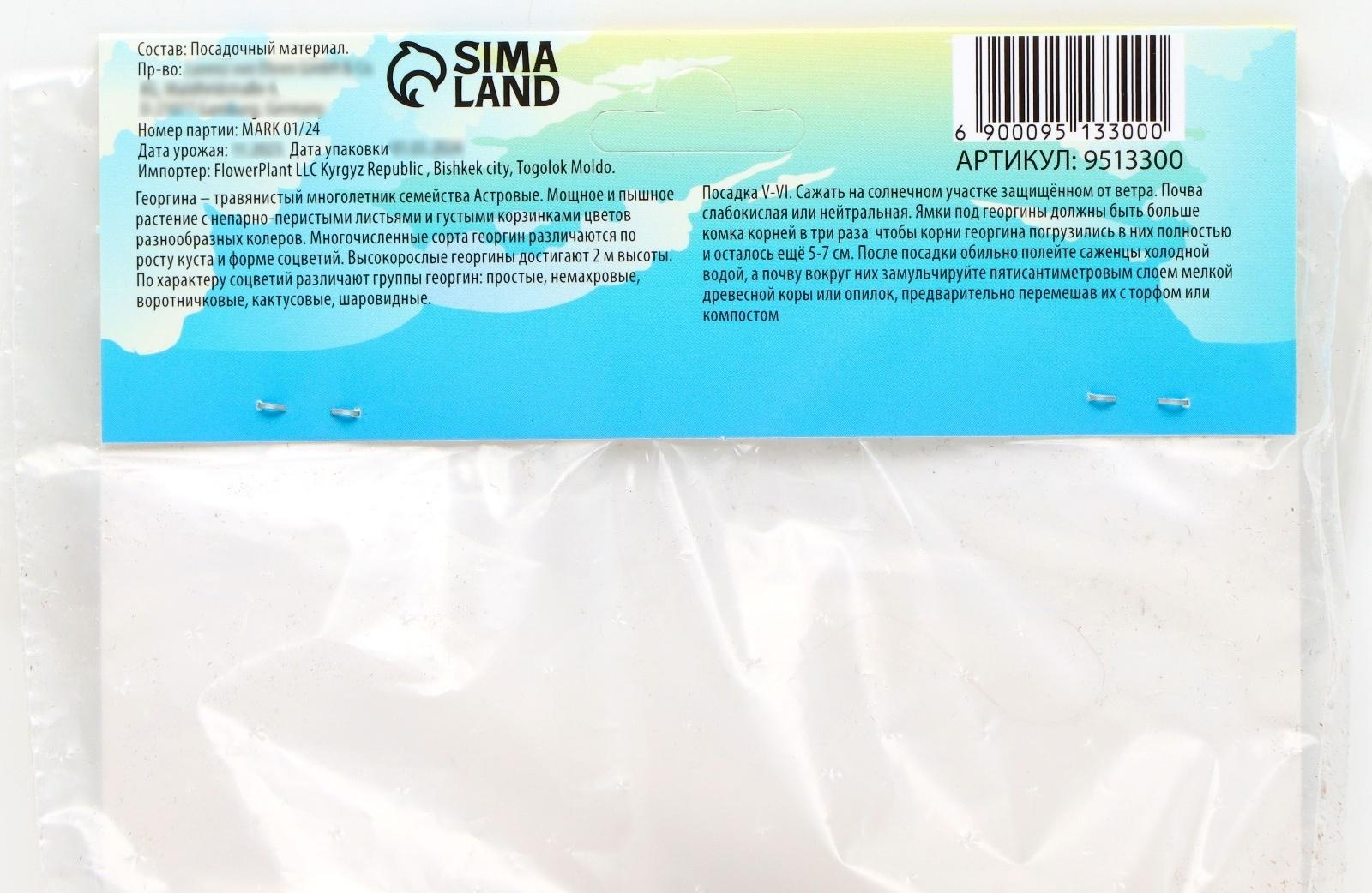 Георгина Кактусовидная 