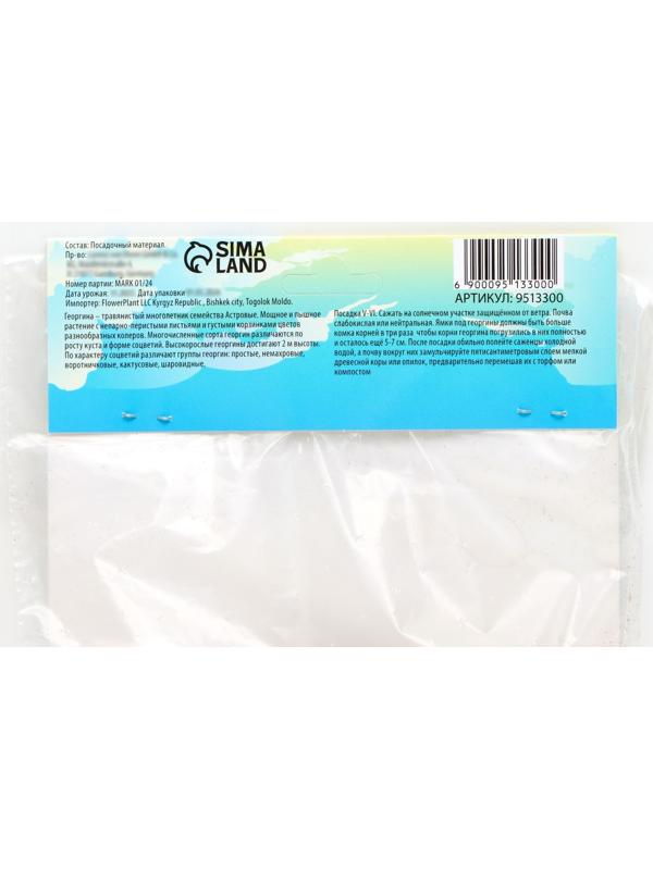 Георгина Кактусовидная 