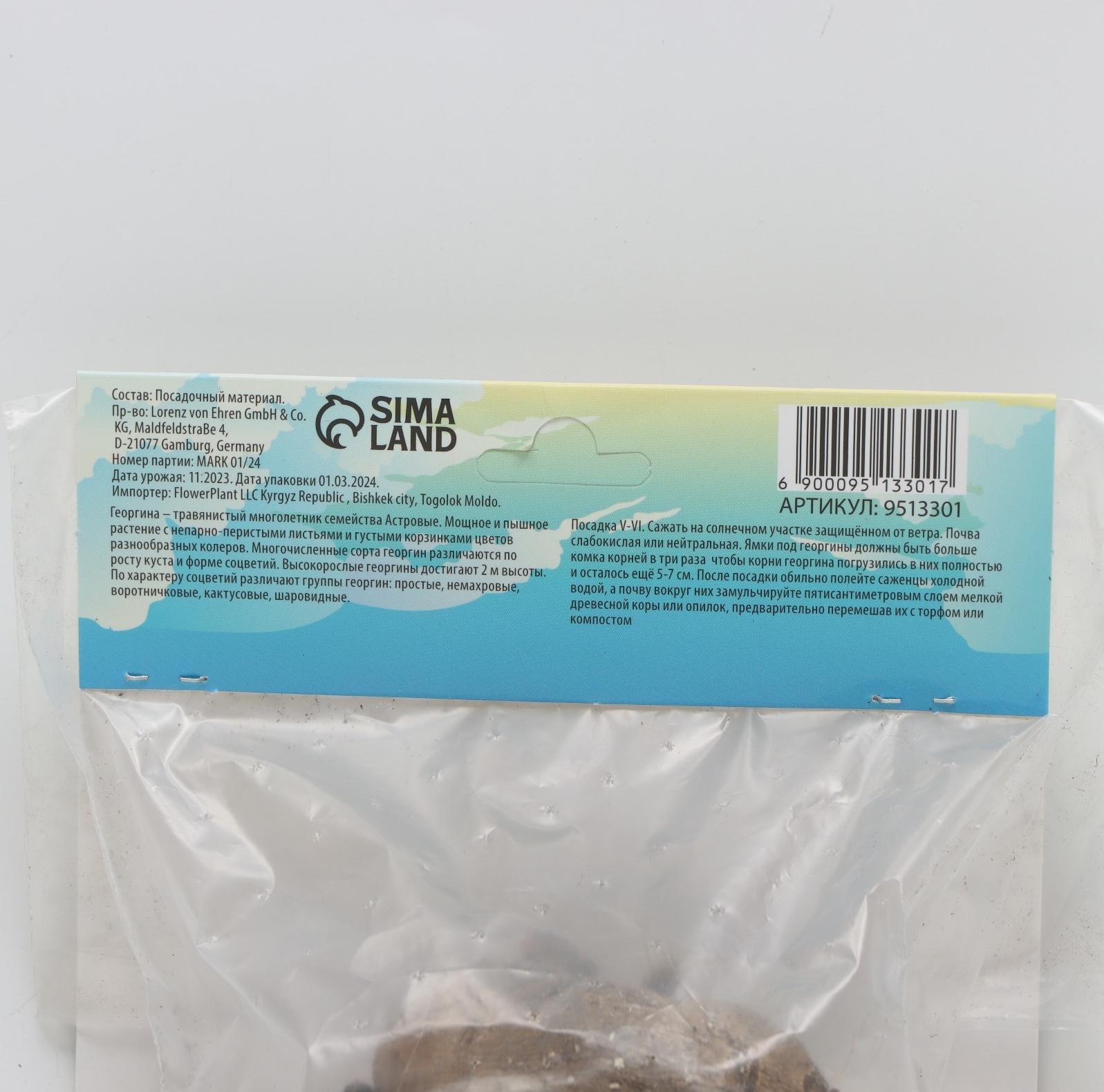 Георгина Кактусовидная 