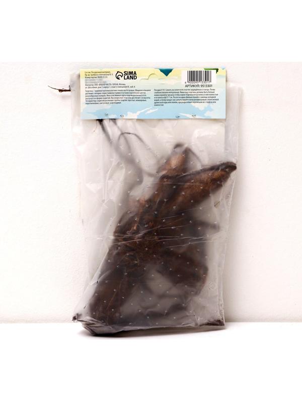 Георгина Кактусовидная 