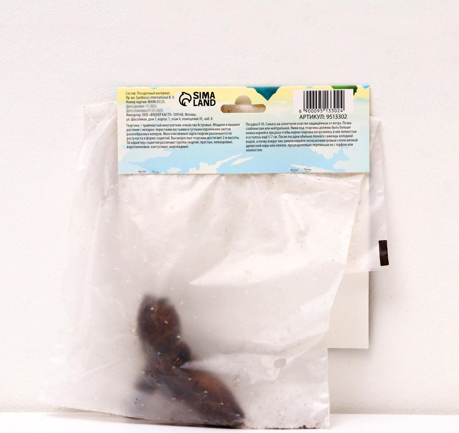 Георгина Бахромчатая 