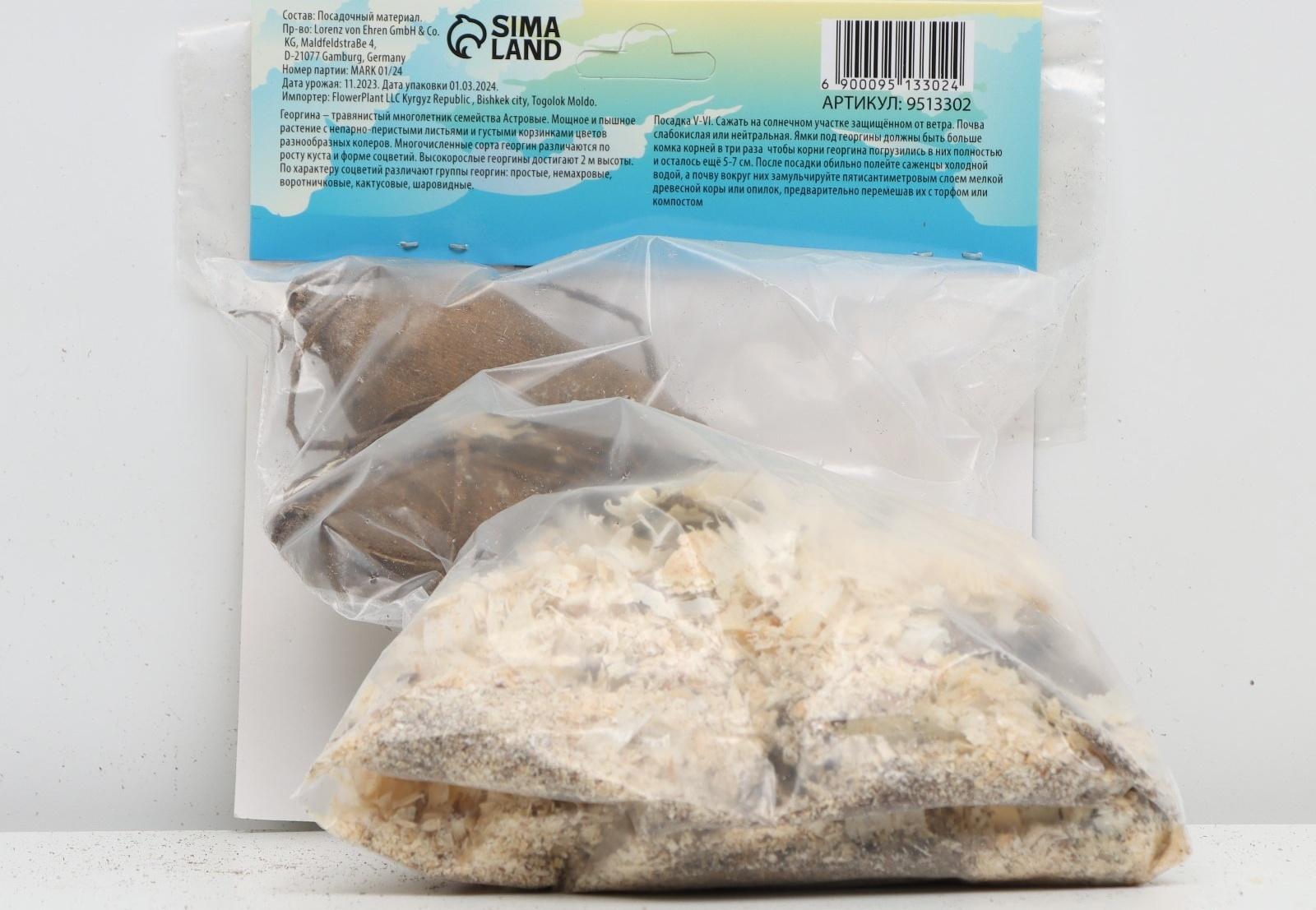 Георгина Бахромчатая 