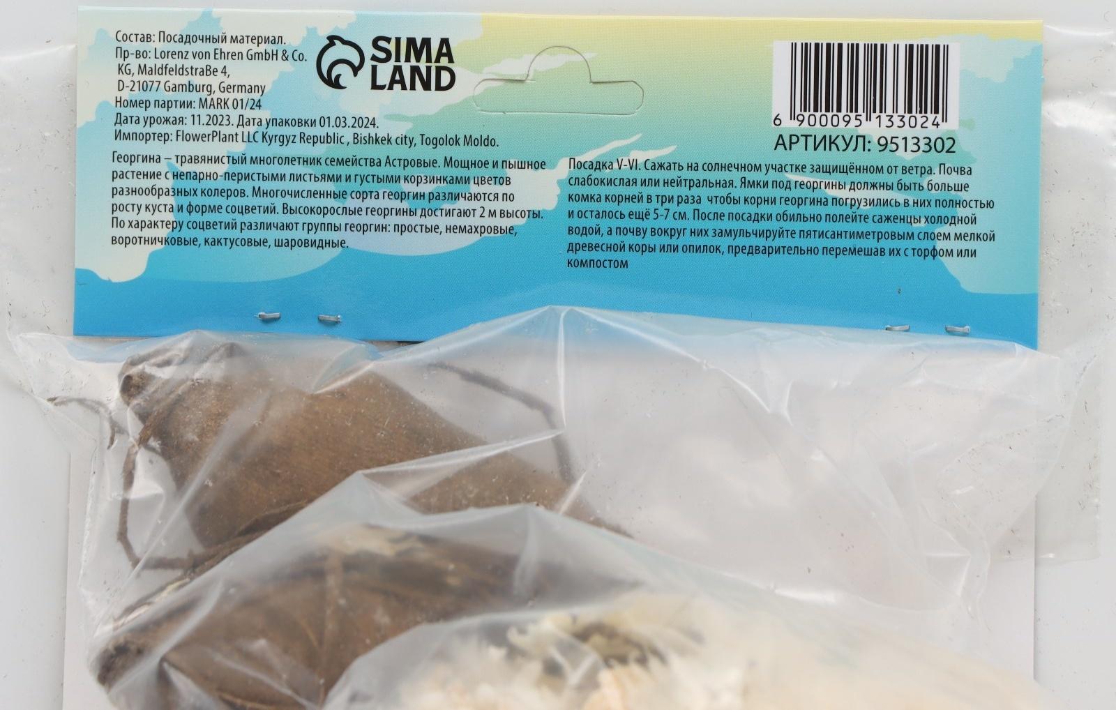 Георгина Бахромчатая 