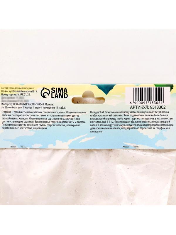 Георгина Бахромчатая 