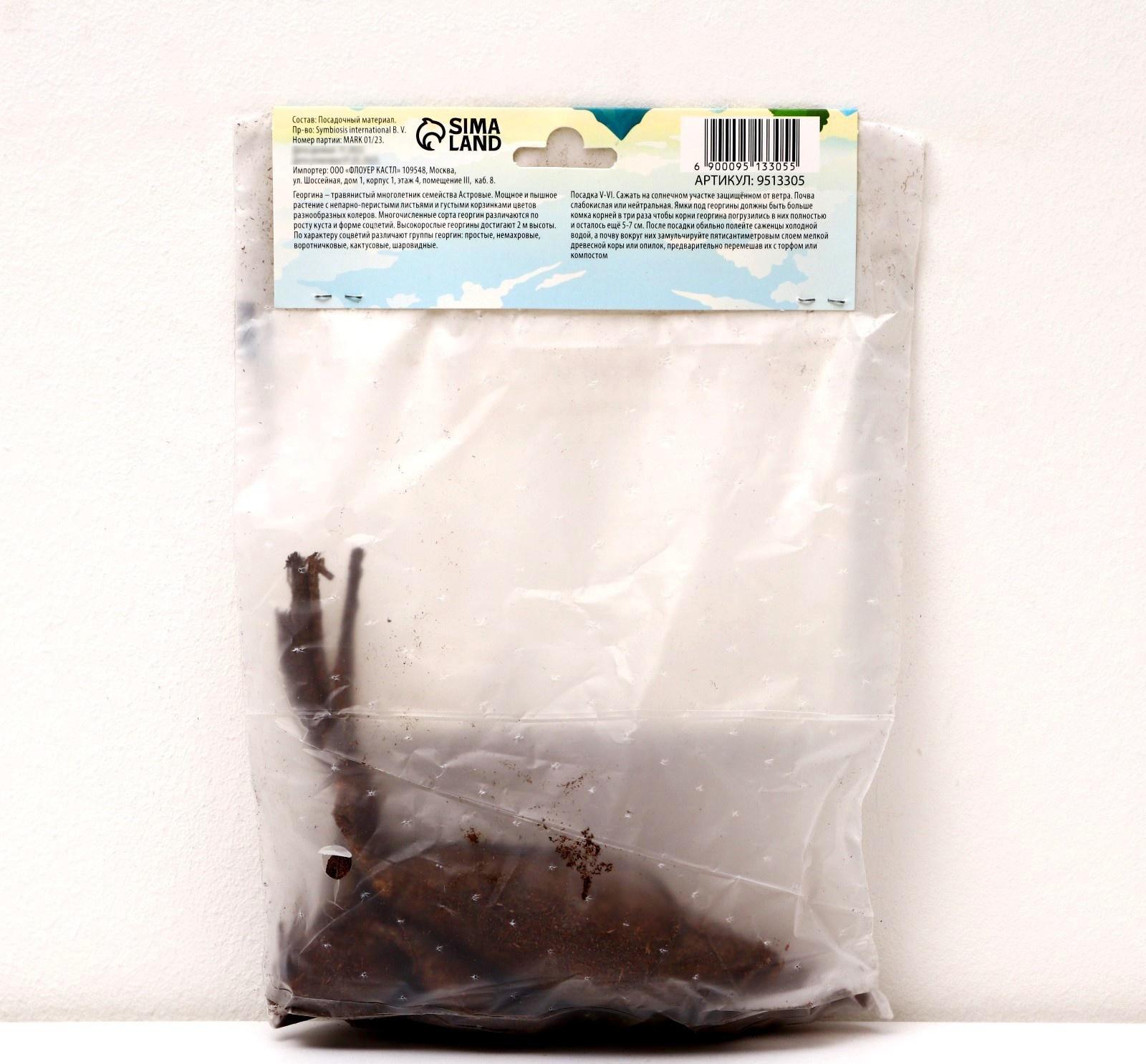 Георгина Декоративная 