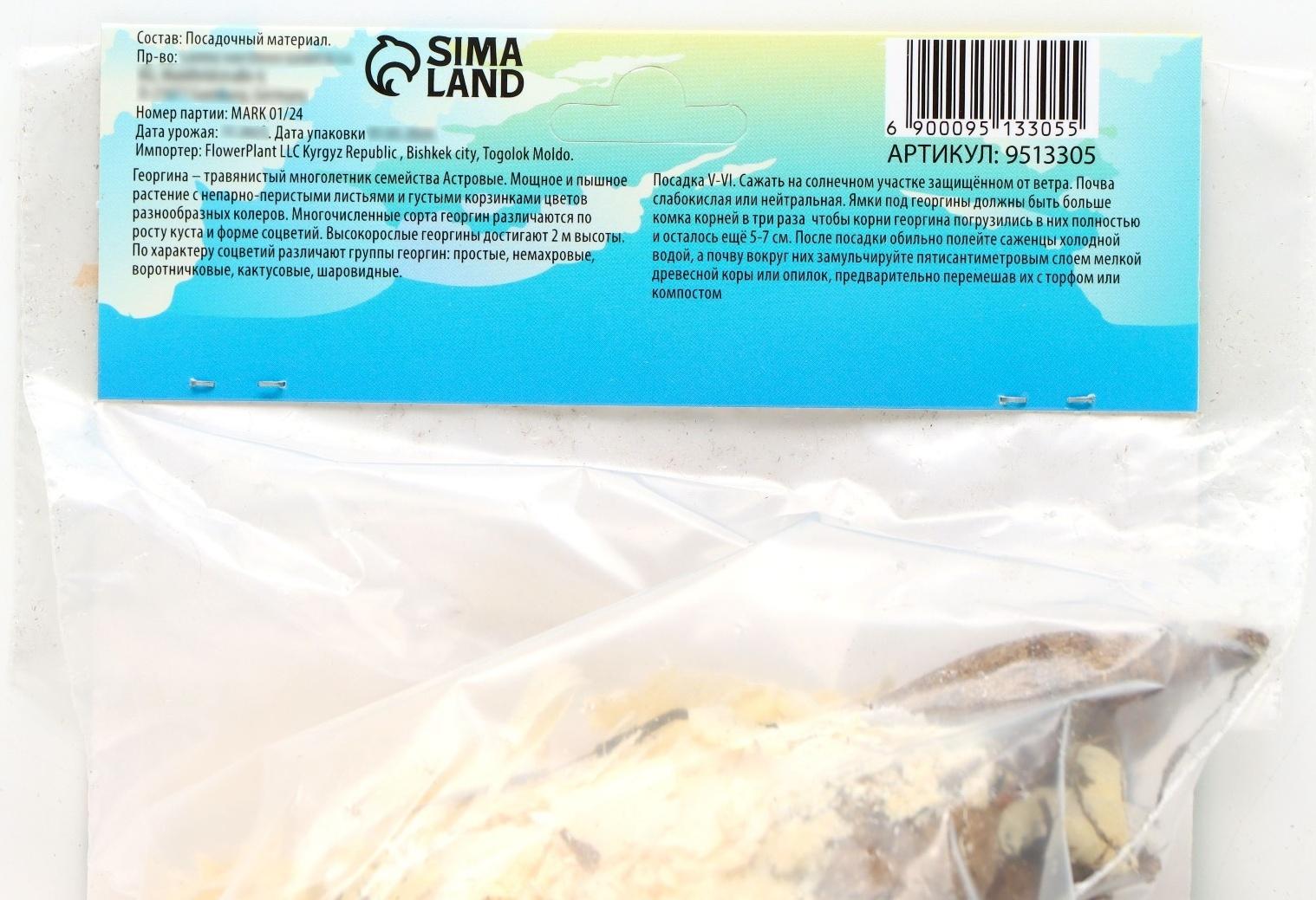 Георгина Декоративная 