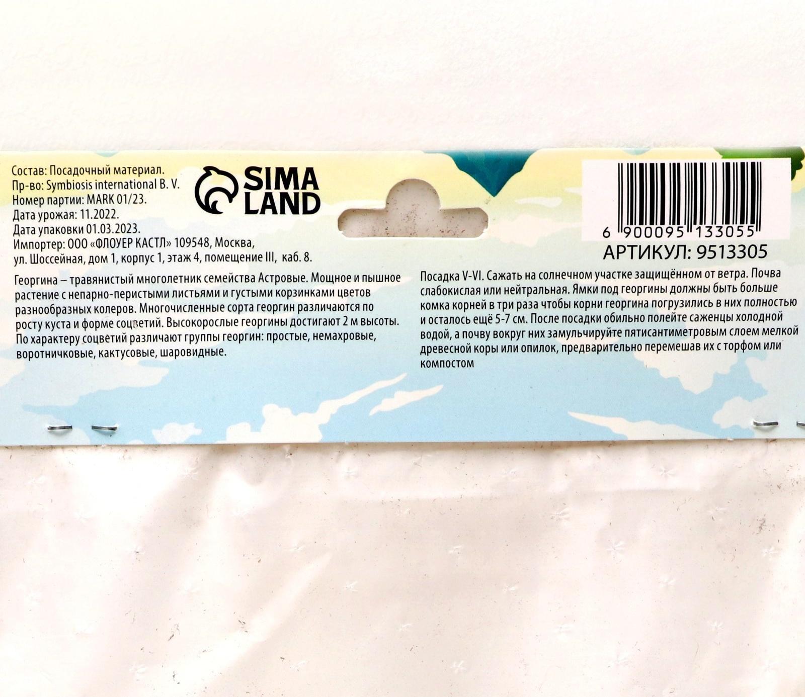 Георгина Декоративная 