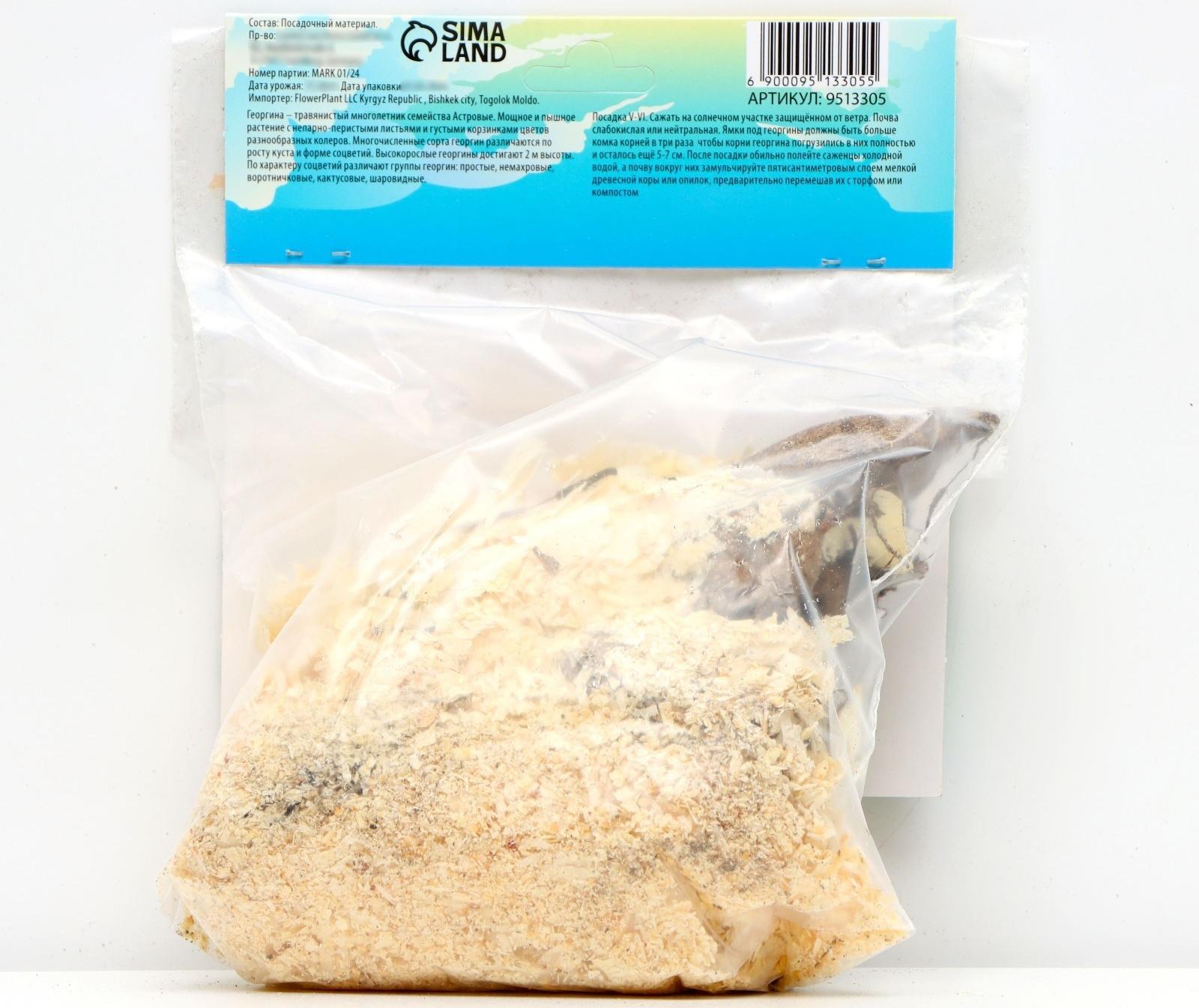 Георгина Декоративная 