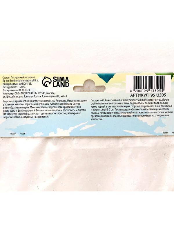 Георгина Декоративная 