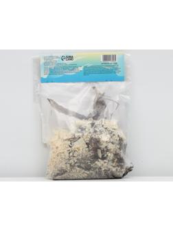 Георгина Декоративная 