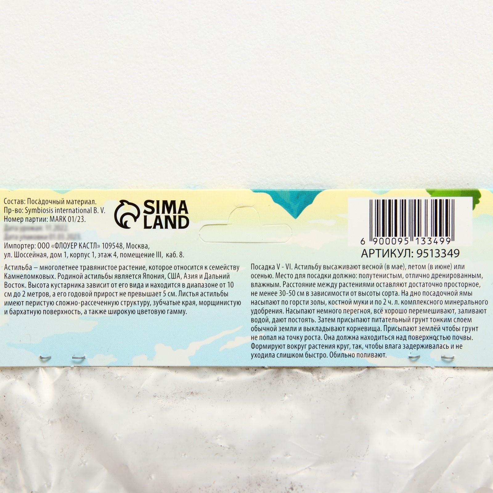 Астильба Арендса 