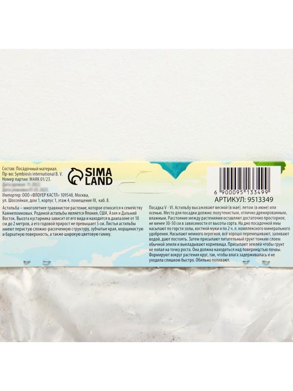 Астильба Арендса 