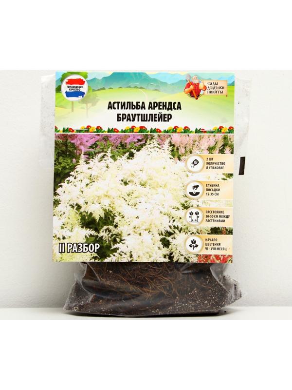 Астильба Арендса 