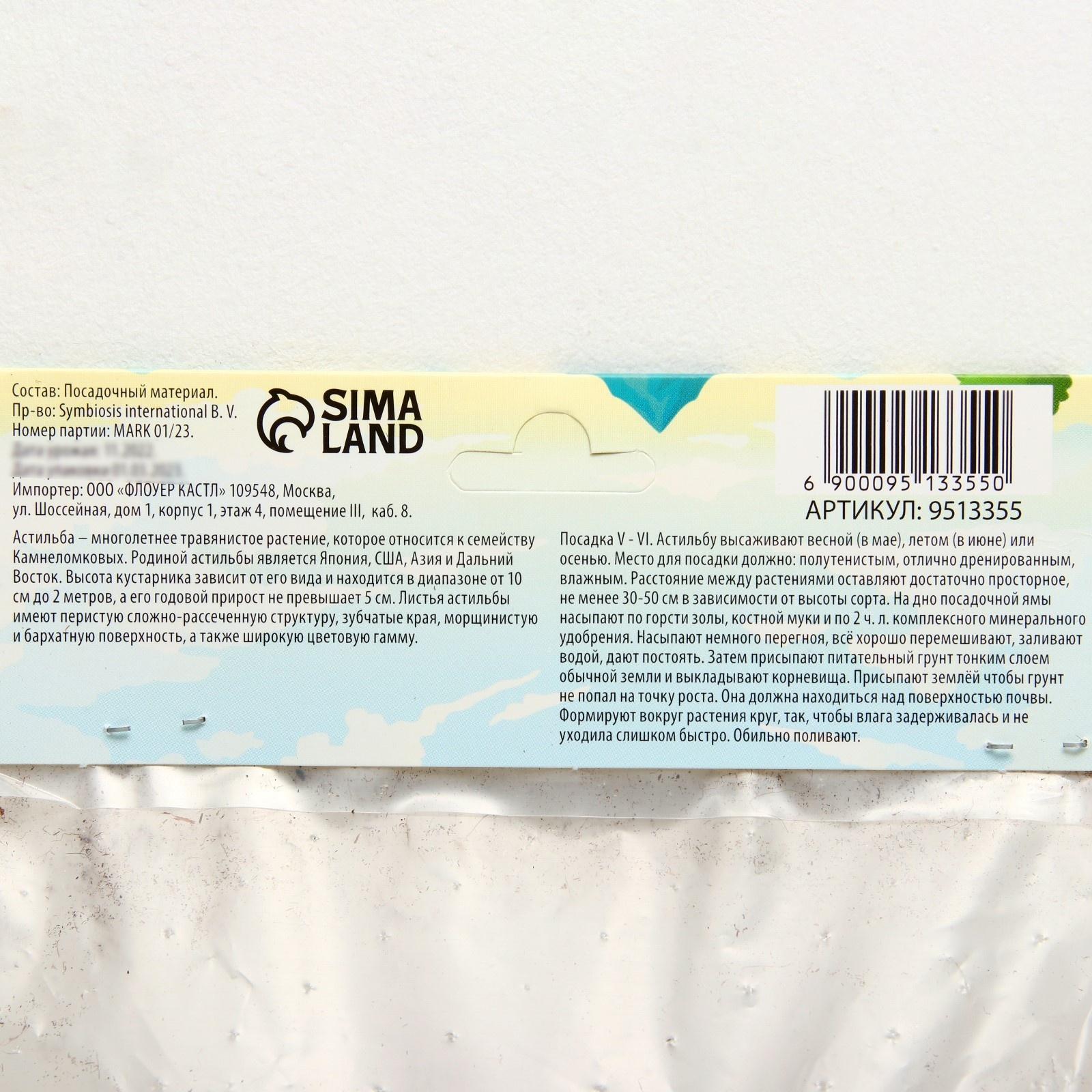 Астильба Арендса 